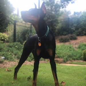 Meet your Posher, Evan